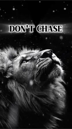 Chase your dreams