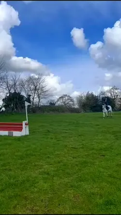 Xc