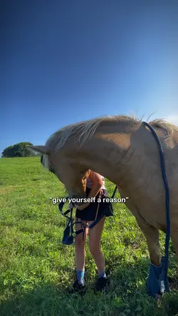 my reason.