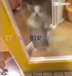 MY BIRTHDAYYYY