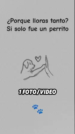 Solo es un perro 