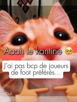 sa a pas de sens 