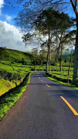 4 video filter hd