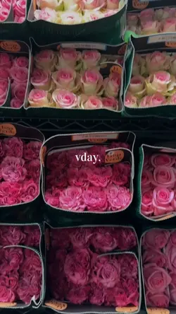 flower shop