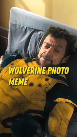 Wolverine Photo Meme