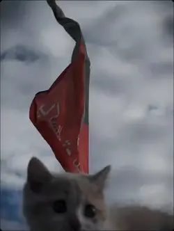 Pti 