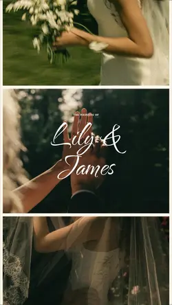 Wedding Moments