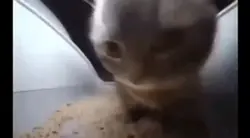 音量注意