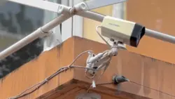 Speedramp