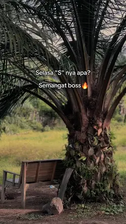 Selasa semangat