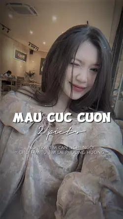 BEAT XỊN 2 ẢNH