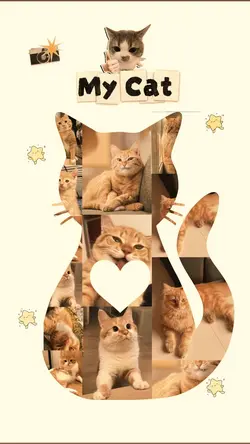 My Cat 