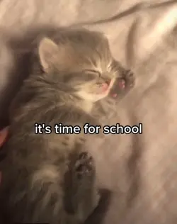 wakey wakey