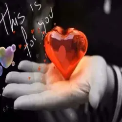 what is love 