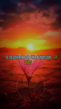 Buenas noches Dios