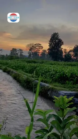 Indosiar