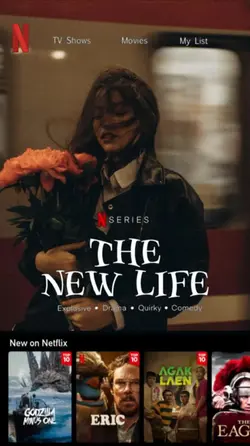 Netflix Poster