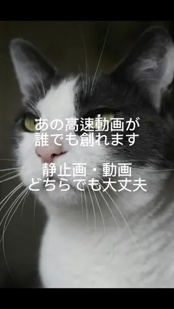 あの高速動画が誰でも簡単に創れます😊