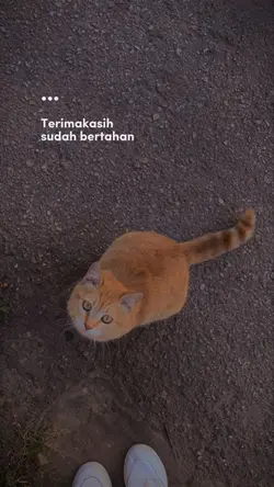 Terimakasih diriku
