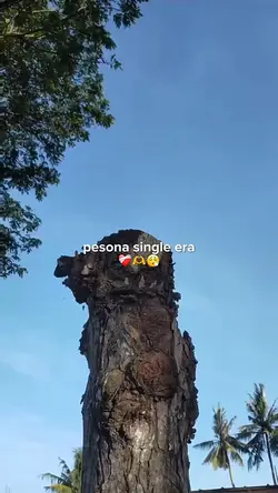 pesona single era