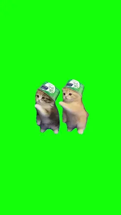 Cat dancing meme