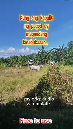 Pagod