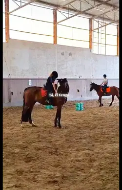 ci tengo