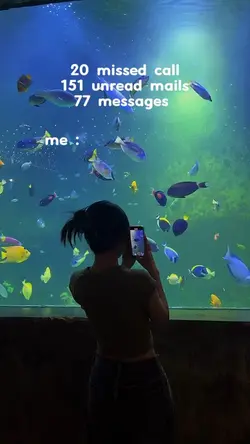 77 messages.