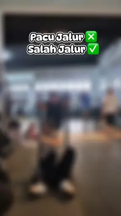Paju jalur