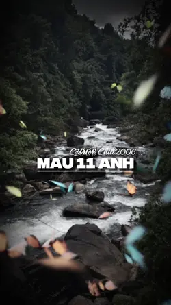 Mẫu 11 ảnh