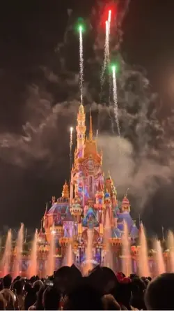 a day in disneyland