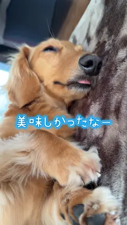 今日のおやつ美味しかったなぁ