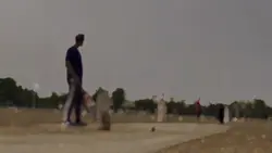 Cricket Six