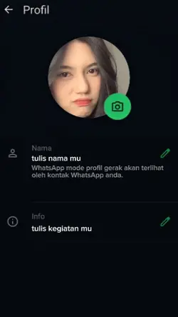WhatsApp pp gerak 