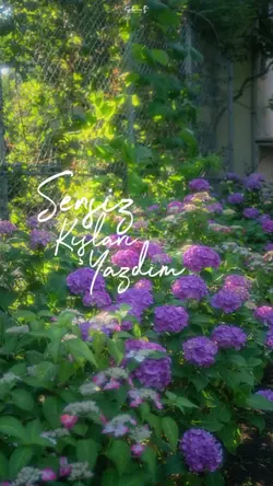 Sensiz kışları yazd
