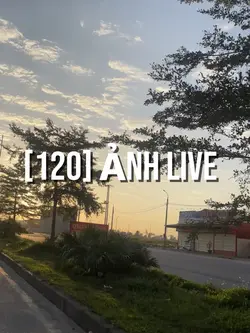 [120] ảnh live photo