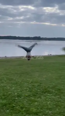 Gymnastics 