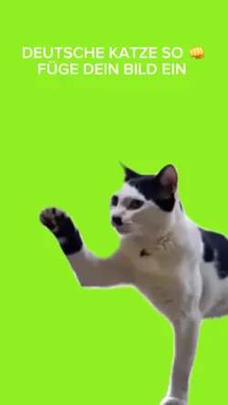 Deutsche Katze
