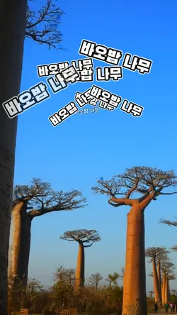 사진이 영상처럼 보여지는 효과