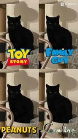 Disney cat  