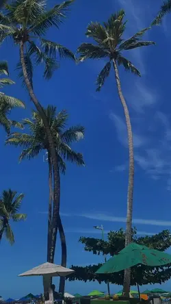 aprendizagem