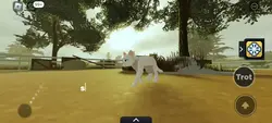 none cat occ