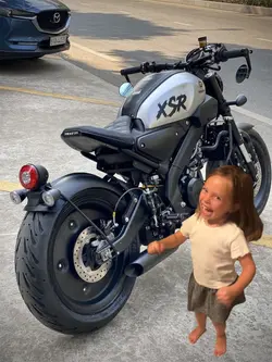 Moto Pingüino