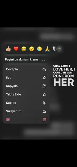 Seviyorum ya