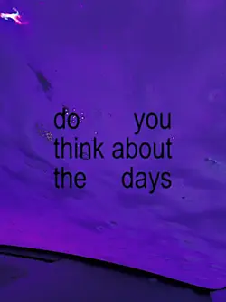 the days