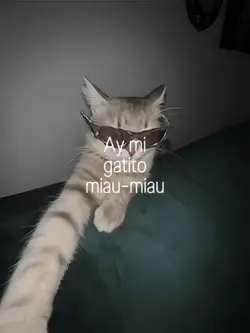 AY MI GATITO