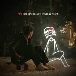 Tera Jana Seene 