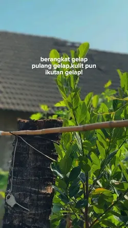kulit pun gelap