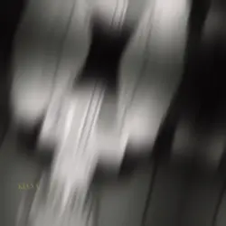saiki k.
