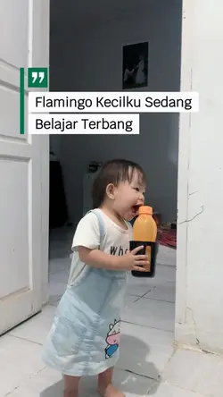 Flamingo Kecilku